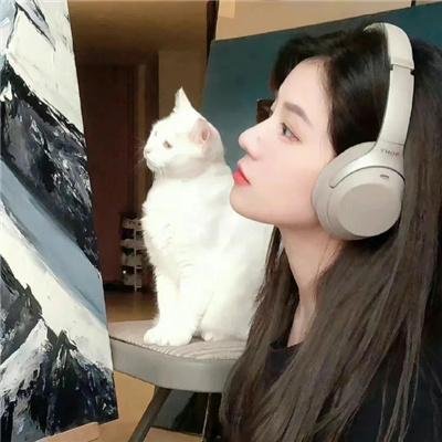 王保长新传